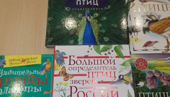 Птичьему пенью внимаем с волнением