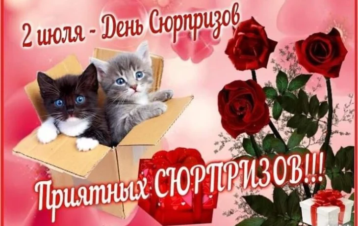 День сюрпризов