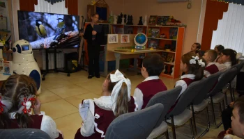 Игра-викторина "Птицы-герои книг" Игра-викторина "Птицы-герои книг"