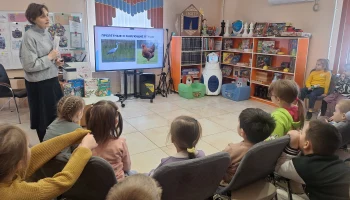 В мире удивительных птиц