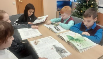 Наш удивительный мир Наш удивительный мир